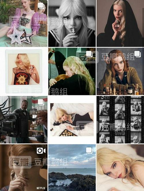 吃瓜鹅明星娱乐,揭秘娱乐圈幕后故事与热点事件